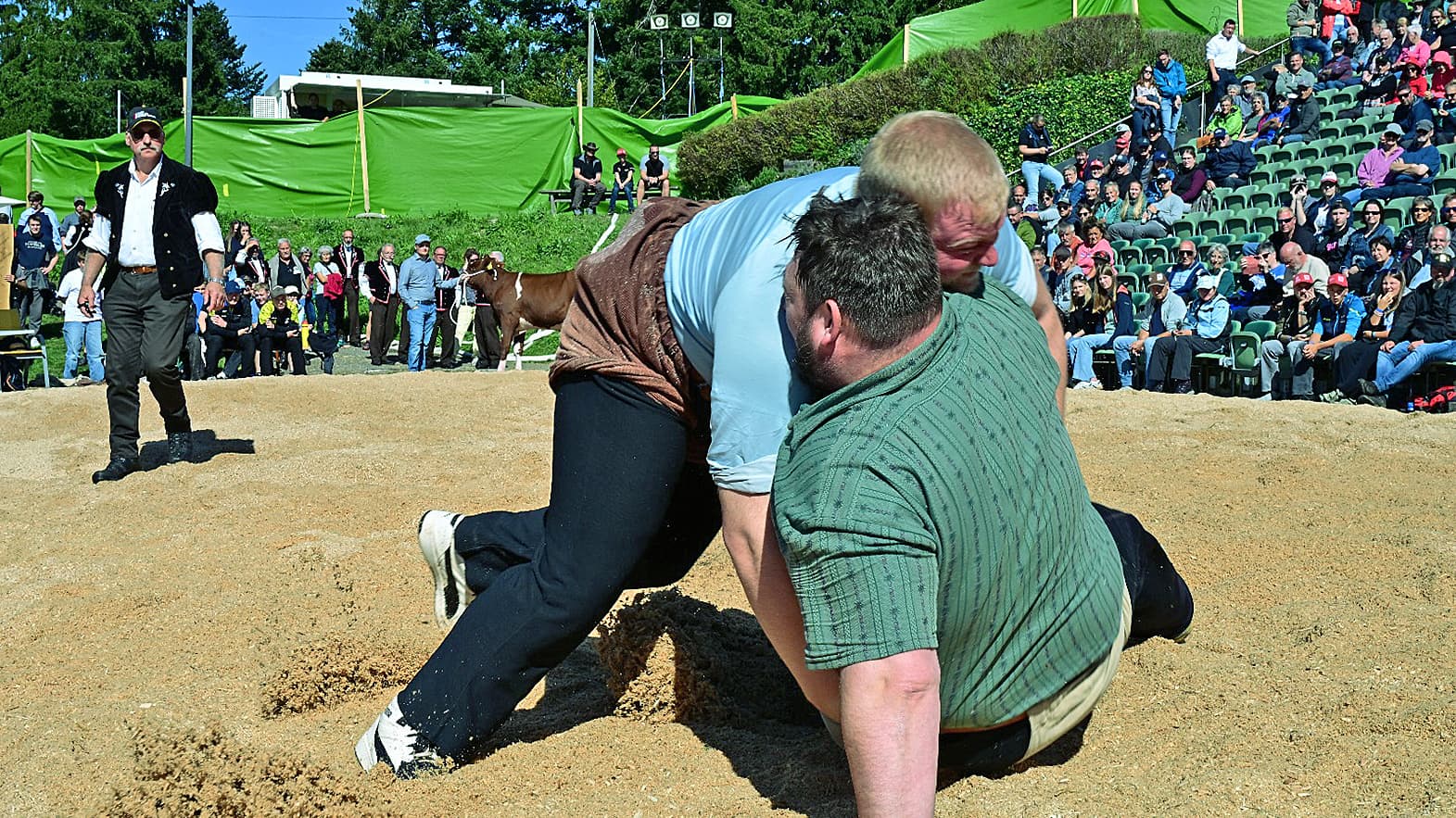  Lueg-Kaltacker.jpg 